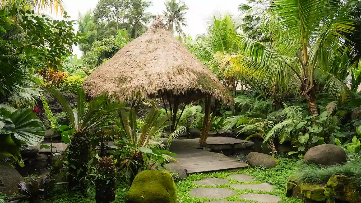 Rooted in Nature, Committed to the Earth