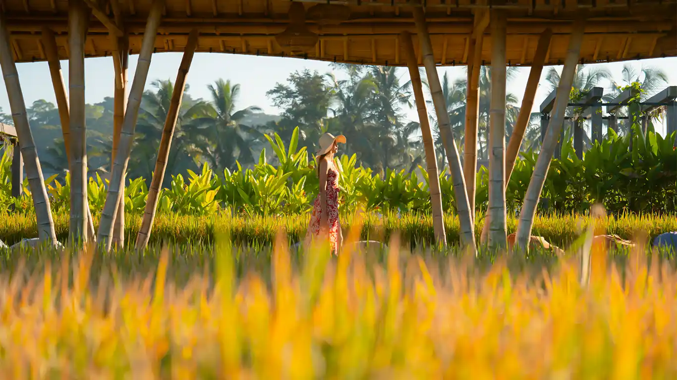 Discover the Art of Slowing Down: Why Staying Longer in Ubud is the Ultimate Luxury