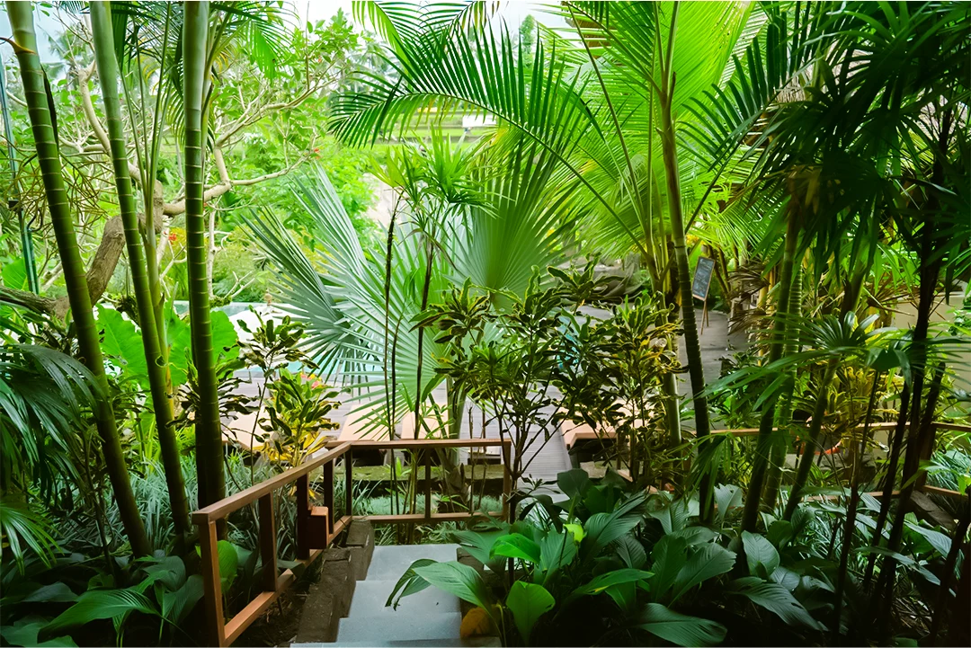 Suite Pool Access at The Sun Of Granary Ubud