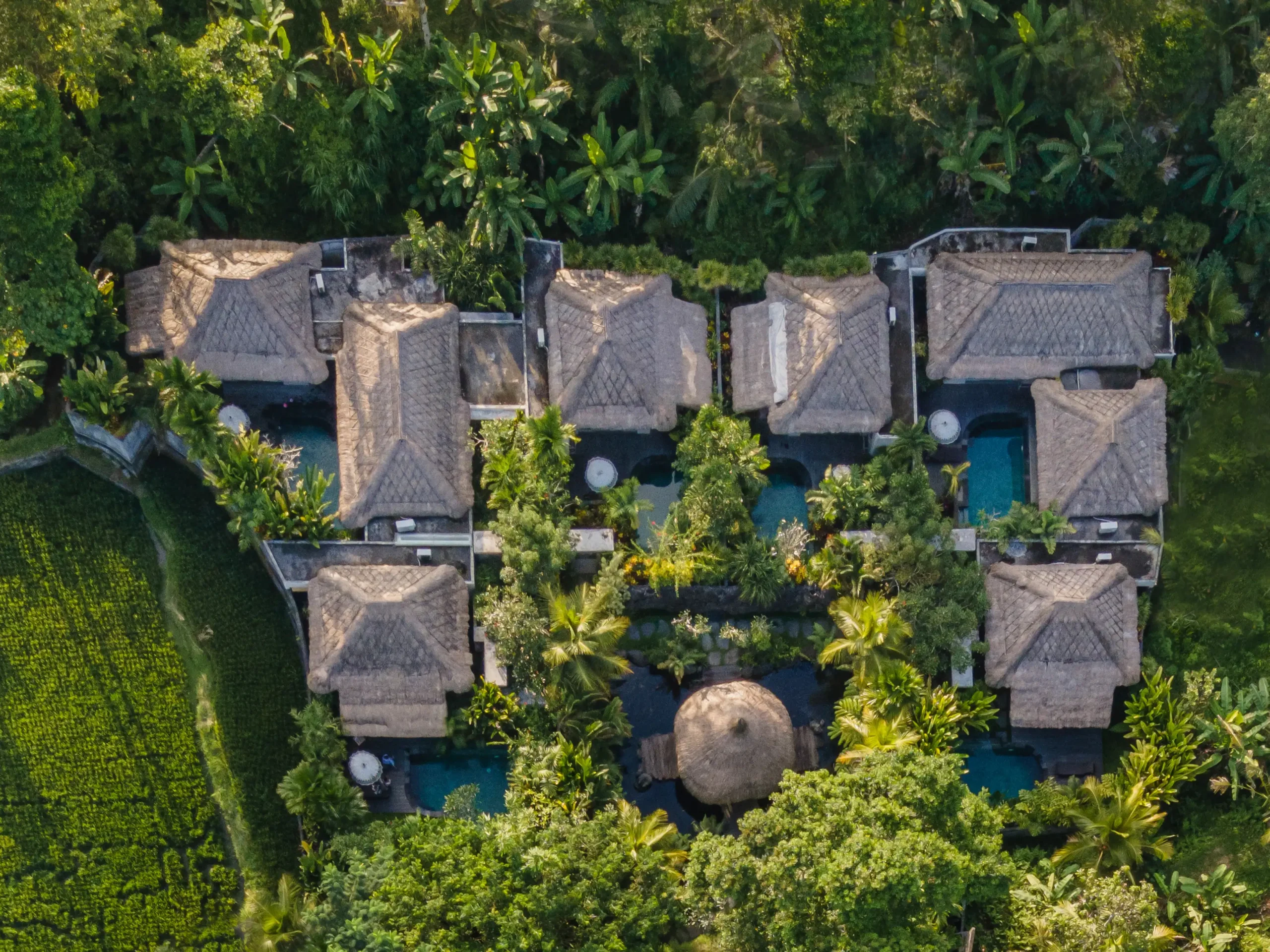 3-Day 2-Night Wellness Retreat in Ubud