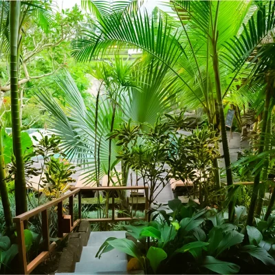 Suite Pool Access at The Sun Of Granary Ubud